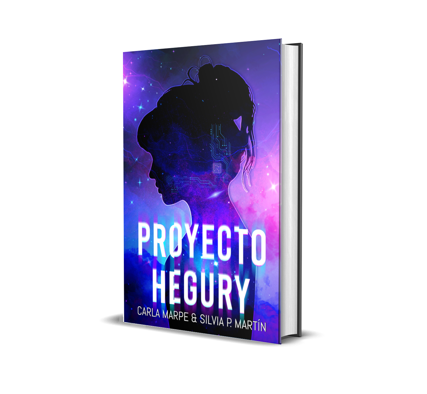 Proyecto Hegury